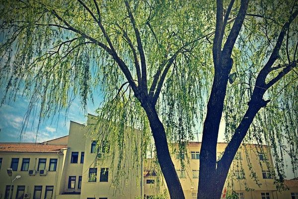 Erzincan Polis Evi fotoğraf 4